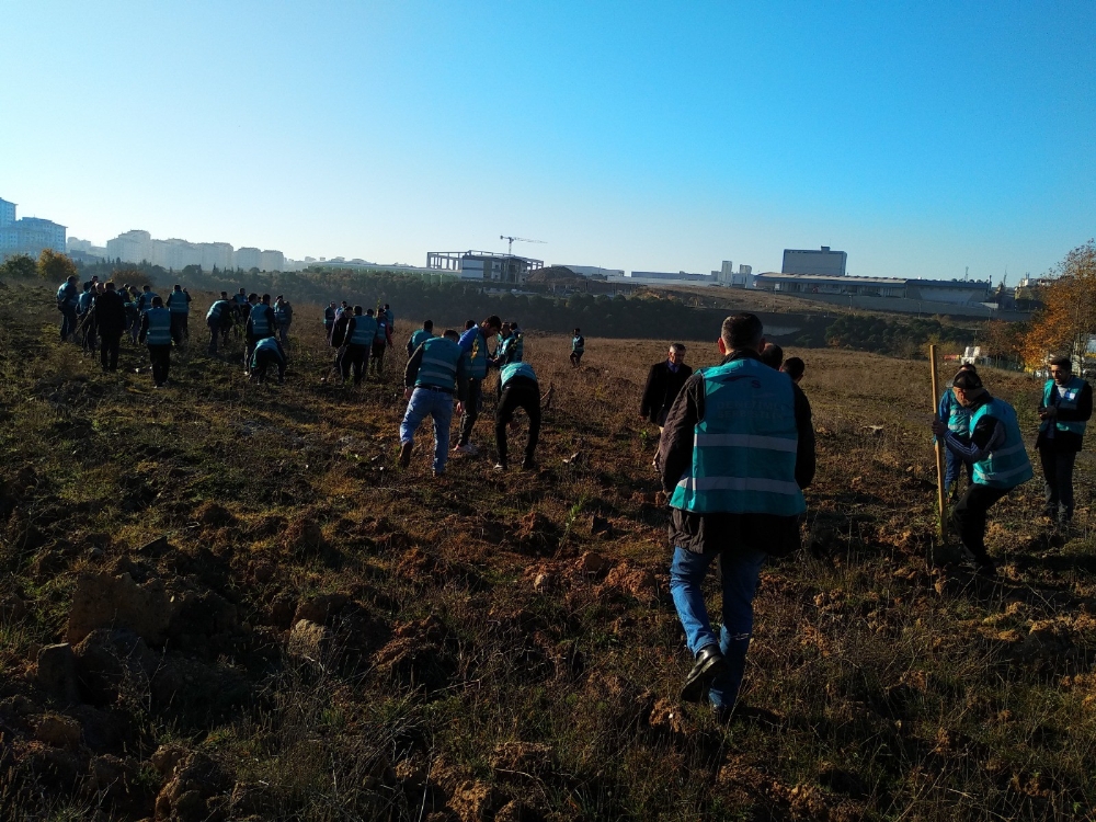 Hükümlülerin son 3 yılda ’dikili ağacı’ 2,5 milyona yaklaştı