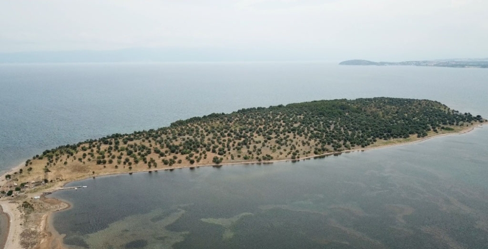 Hülya Avşar’ın ada satın alacağı yalanlandı