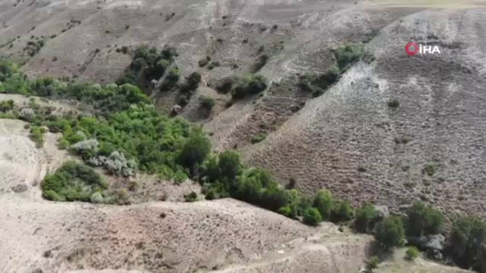 HÜRKUŞ’un düştüğü alan havadan görüntülendi