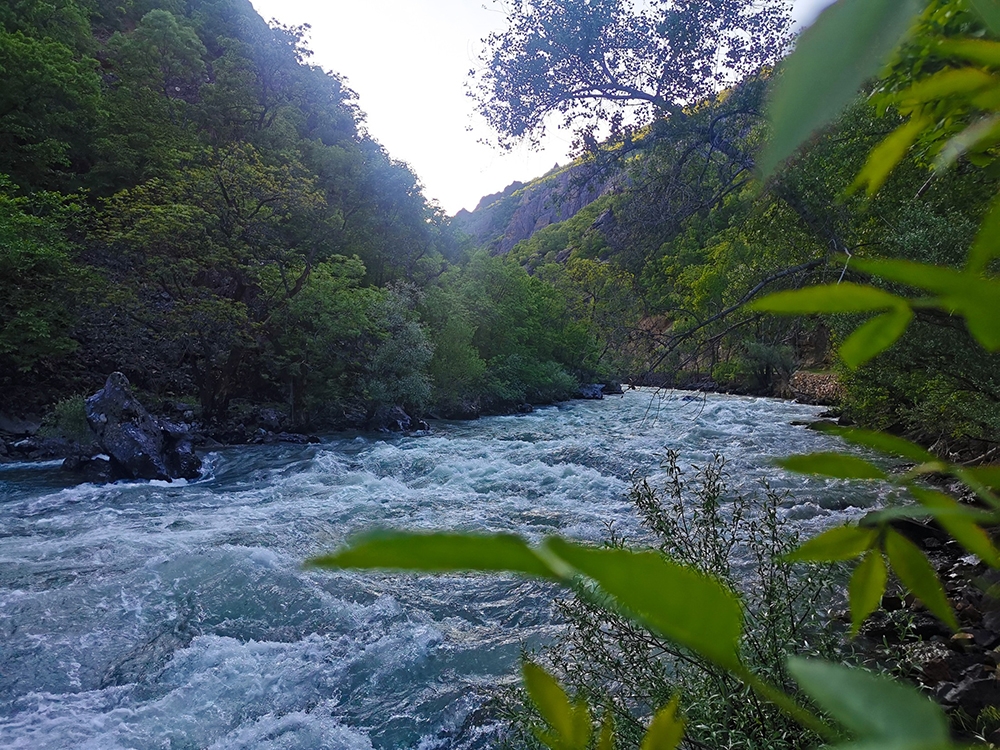 Huzur veren vadi, Munzur’da ilkbahar güzelliği