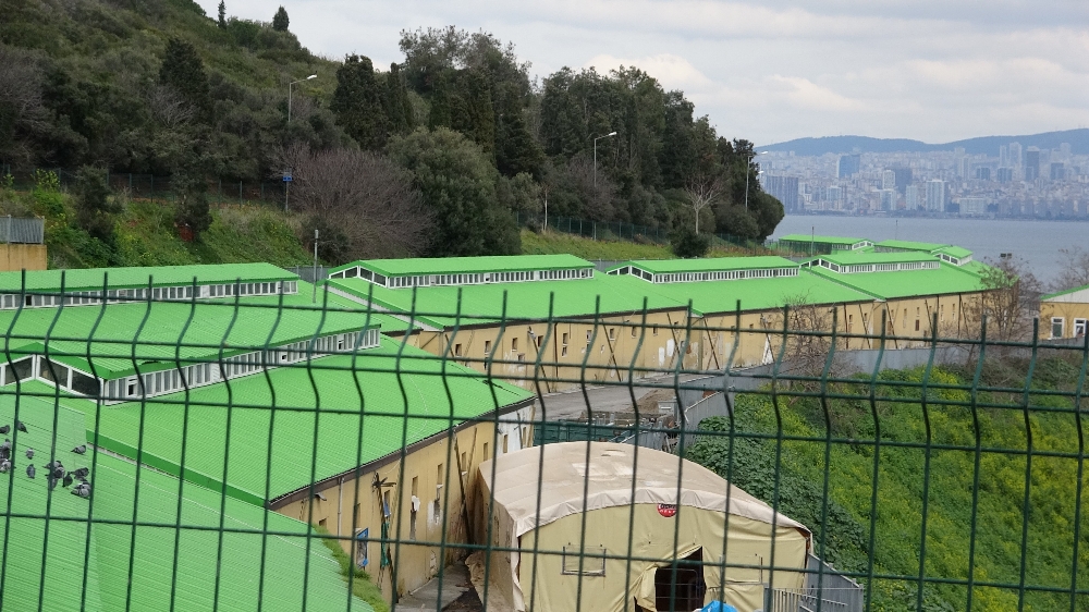 İBB Adalar’da 100’e yakın atı ahıra hapsetti