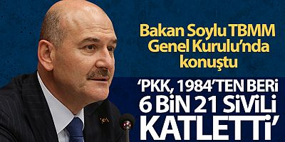 İçişleri Bakanı Soylu: PKK, 1984'ten beri 6 bin 21 sivili katletti'