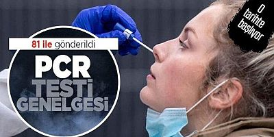 İçişleri Bakanlığı'ndan 81 ile PCR testi zorunluluğu genelgesi!