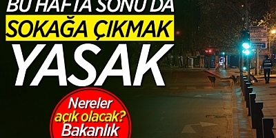 İçişleri Bakanlığından 15 ilde uygulanacak “Sokağa çıkma kısıtlaması” ilgili genelde