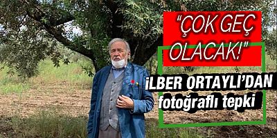 İlber Ortaylı'dan 'zeytinlik düzenlemesine' tepki gecikmedi