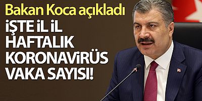 İllere göre haftalık vaka sayısı açıklandı