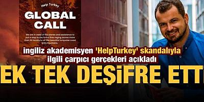 İngiliz akademisyen 'HelpTurkey' skandalıyla ilgili çarpıcı gerçekleri açıkladı!