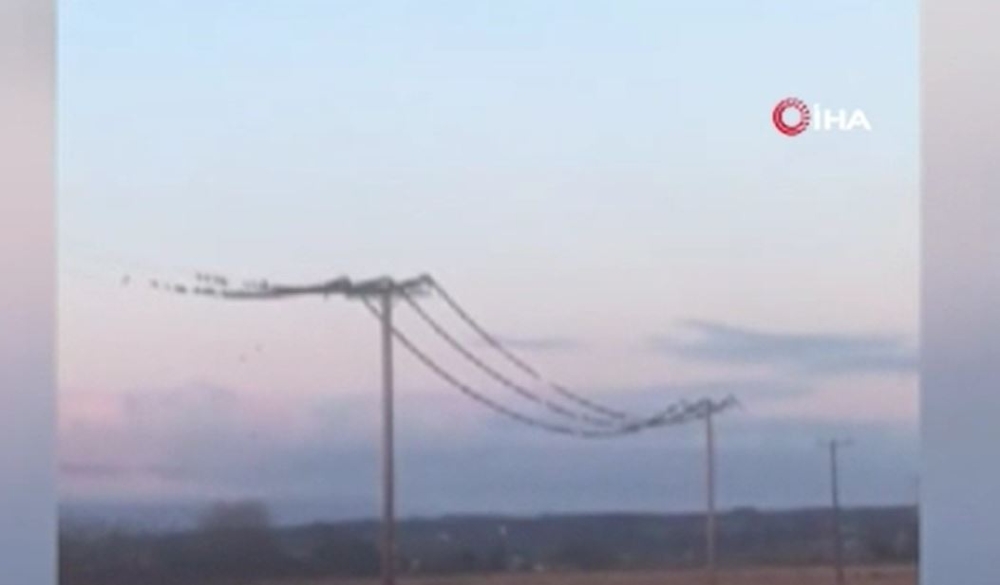 İskoçya’da sığırcık sürüsünün dansı elektrik kesintilerine yol açtı