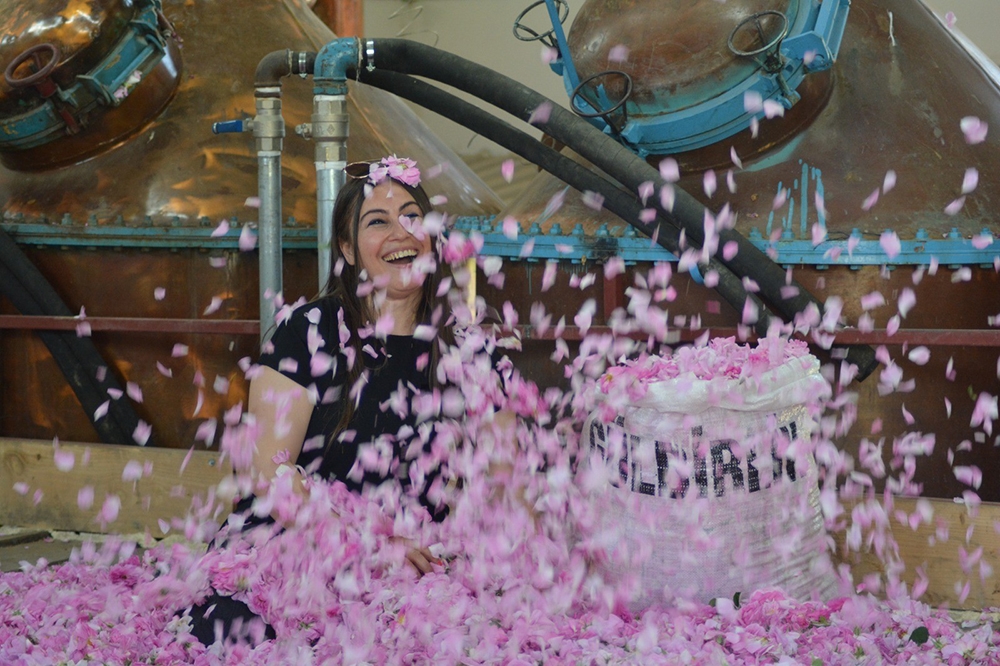 Isparta’da gül çiçeği taban fiyatı açıklandı