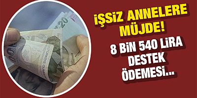 İşsiz annelere müjde geldi! 8 bin 540 lira ödeme yapılacak...