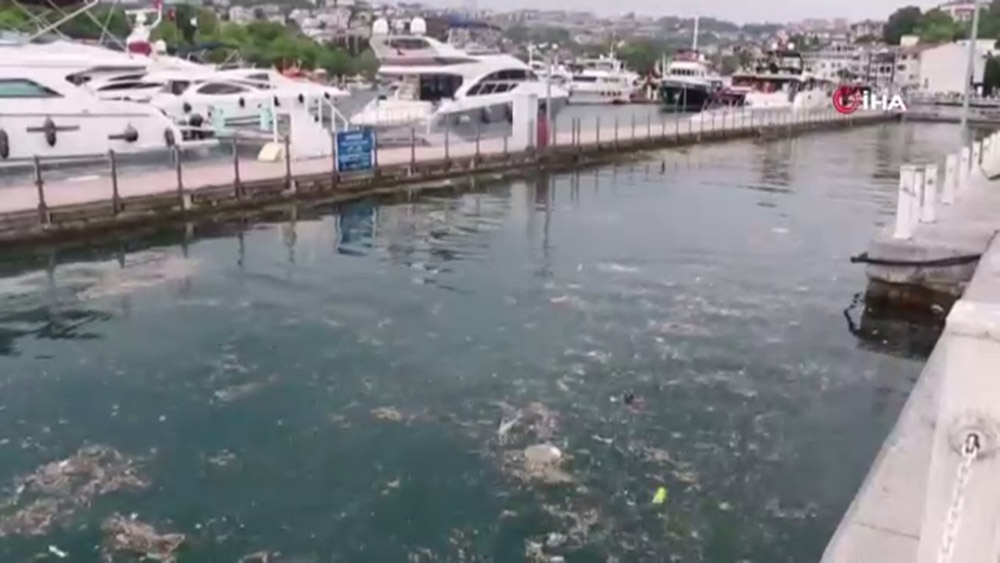 İstanbul Boğazı’nda çöp adaları oluştu