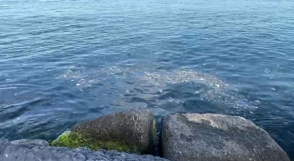 İstanbul Boğazı’nda çöp tehdidi