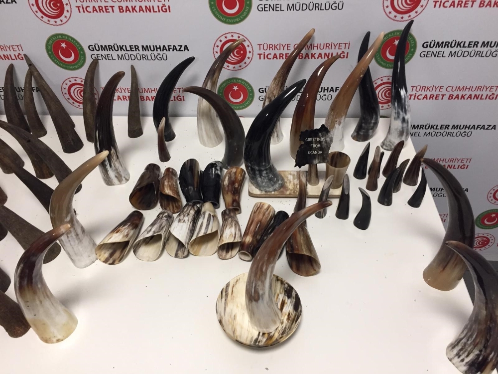 İstanbul Havalimanında Bufalo Boynuzu Operasyonu