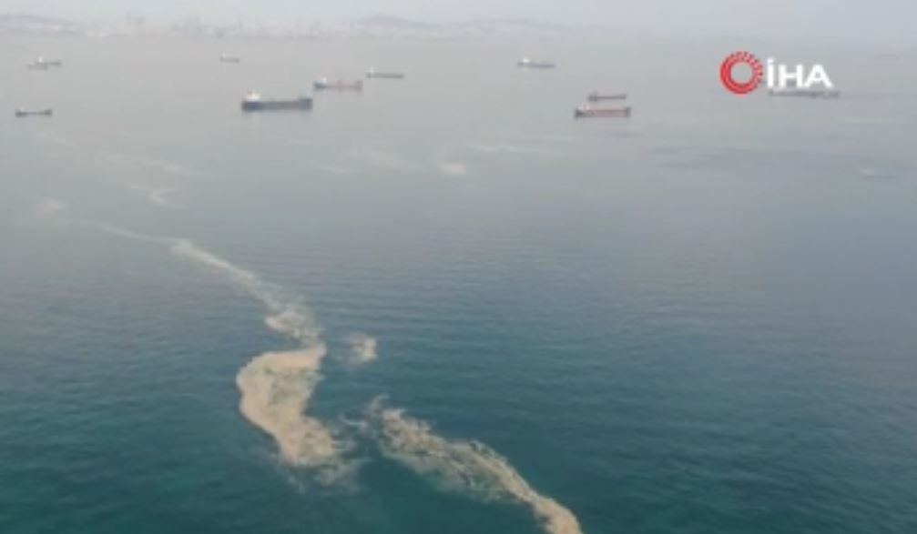 İstanbul sahilleri deniz salyasıyla doldu