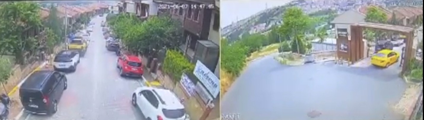 İstanbul’da feci olay: Taksici köpeği ezip kaçtı