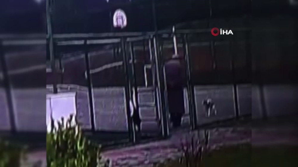İstanbul’da köpeği defalarca tekmeleyen şahıs serbest bırakıldı