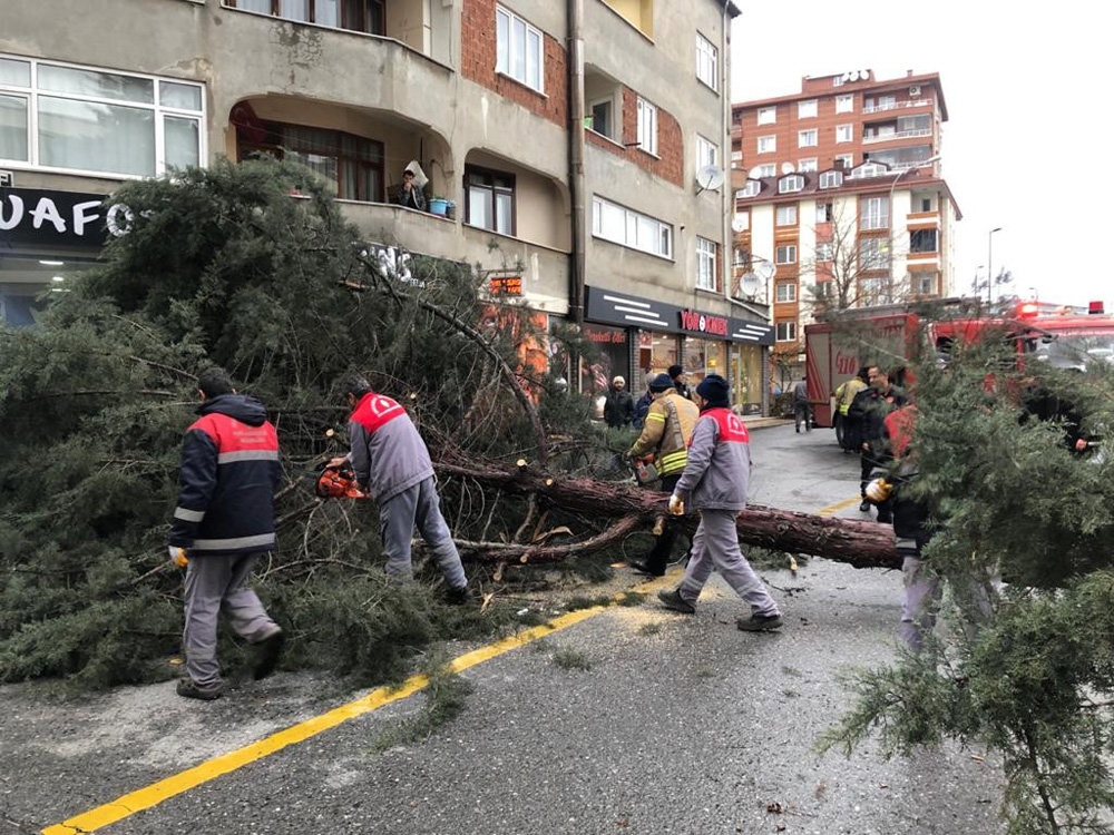 İstanbulda Şiddetli Fırtına Ağaç Devirdi
