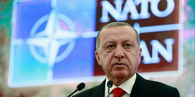 İsveç'in ardından Finlandiya'da Cumhurbaşkanı Erdoğan'ı alçakça hedef aldı