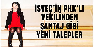 İsveç'in PKK'lı milletvekilinden şantaj gibi yeni talepler
