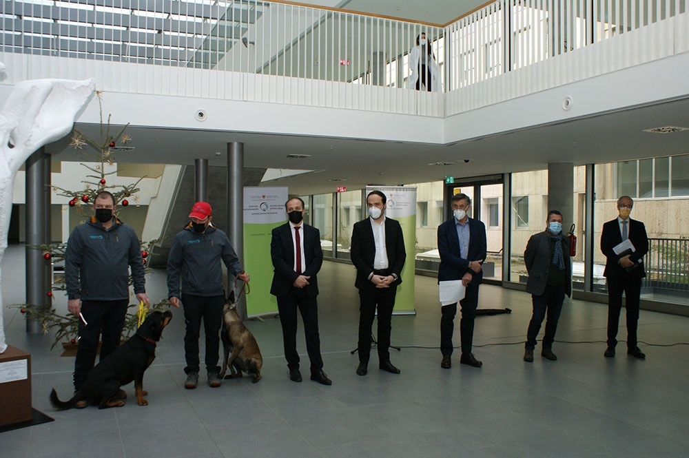 İtalya’da köpekler, okullarda Covid-19 taraması yapacak