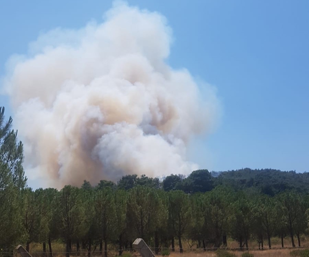 İzmir’de bir orman yangını daha çıktı