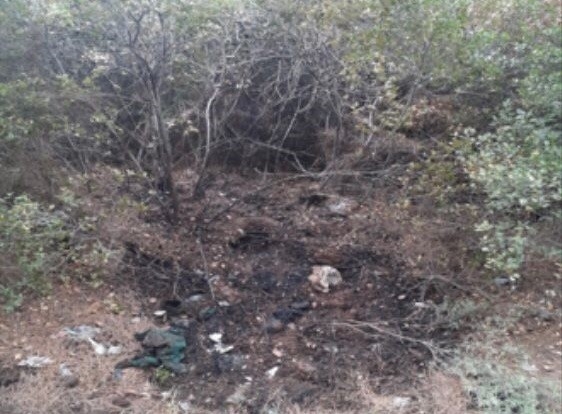 İzmir’de orman yangını çıkarmak isteyen şüpheli, PKK/KCK üyesi çıktı