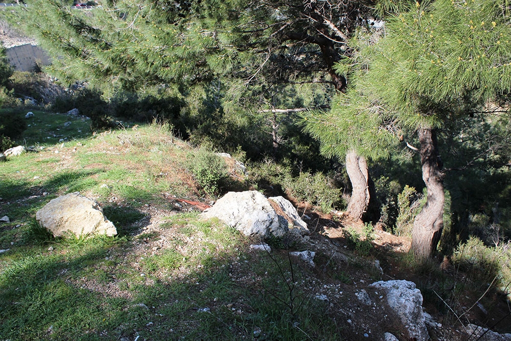 İzmir’de ormanlık alanda kafatası ve kemik parçaları bulundu