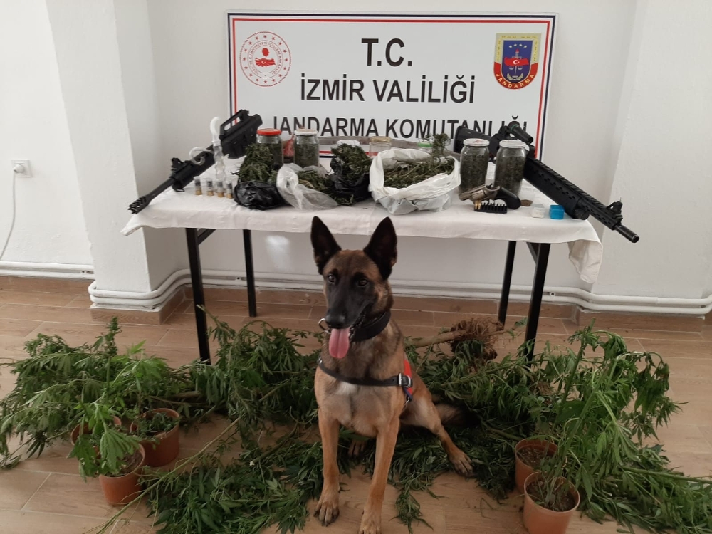 İzmir’de uyuşturucu operasyonu: 21 şüpheli gözaltında
