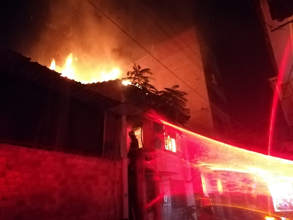 İzmir’deki korkunç yangında kuşlar telef oldu