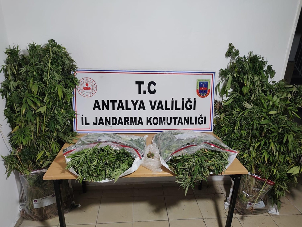 Jandarma bu yıl 563 uyuşturucu operasyonu yaptı
