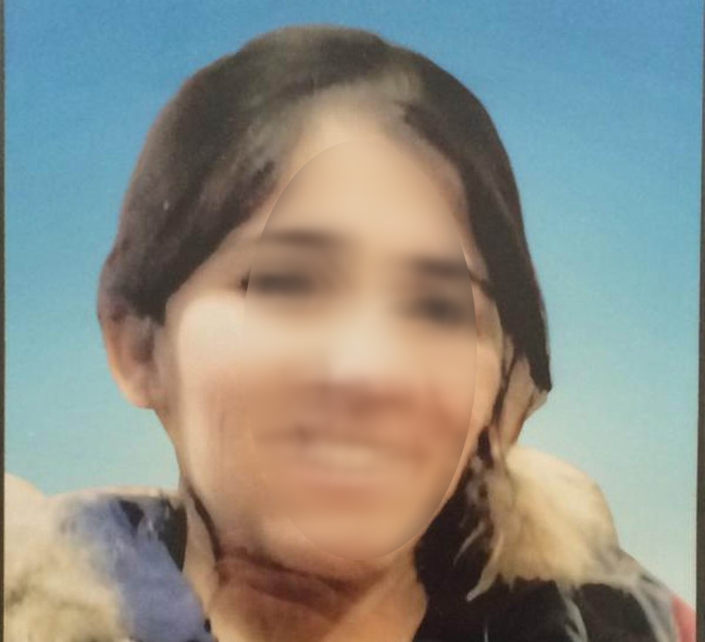 Jandarma ikna etti, kadın terörist teslim oldu