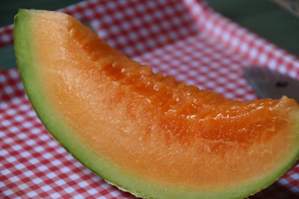 Japonya’da 2 yubari kavunu 7 bin 500 liraya satıldı