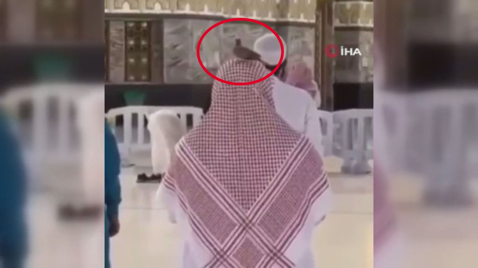 Kabe’de namaz kılan kişinin başından ayrılmayan güvercin herkesi şaşırttı