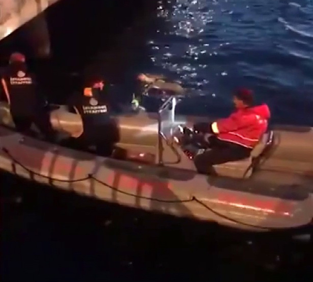 Kadıköy’de balıkçı misinasına takılan 2 martı kurtarıldı