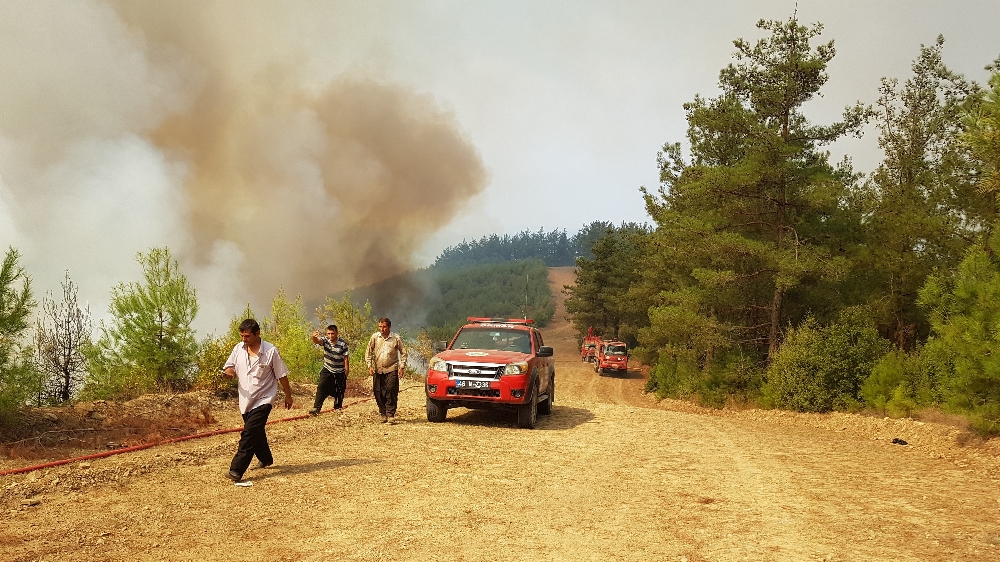 Kahramanmaraş’ta 4 ayrı noktada yangın çıktı