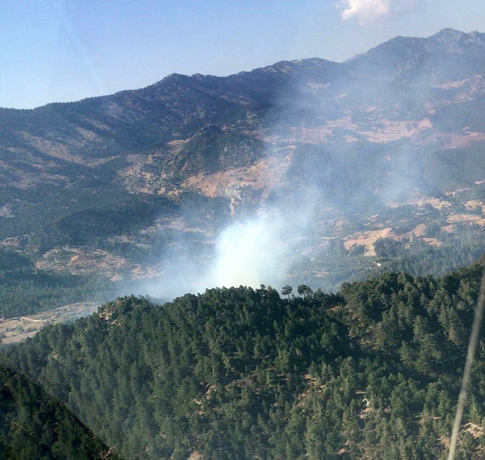 Kahramanmaraş’ta orman yangınında 4 hektar alan zarar gördü