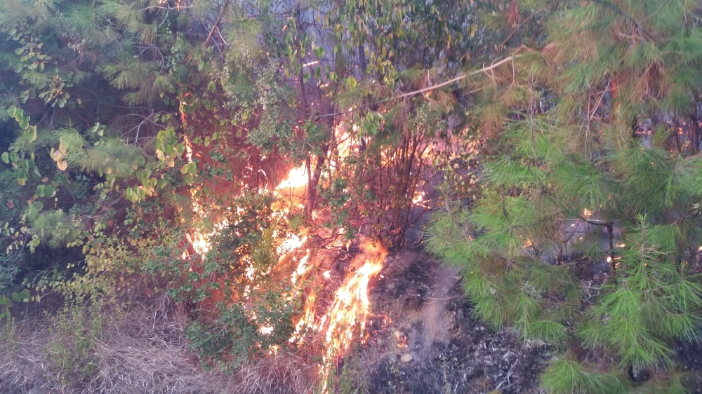 Kahramanmaraş’taki orman yangını kontrol altına alındı