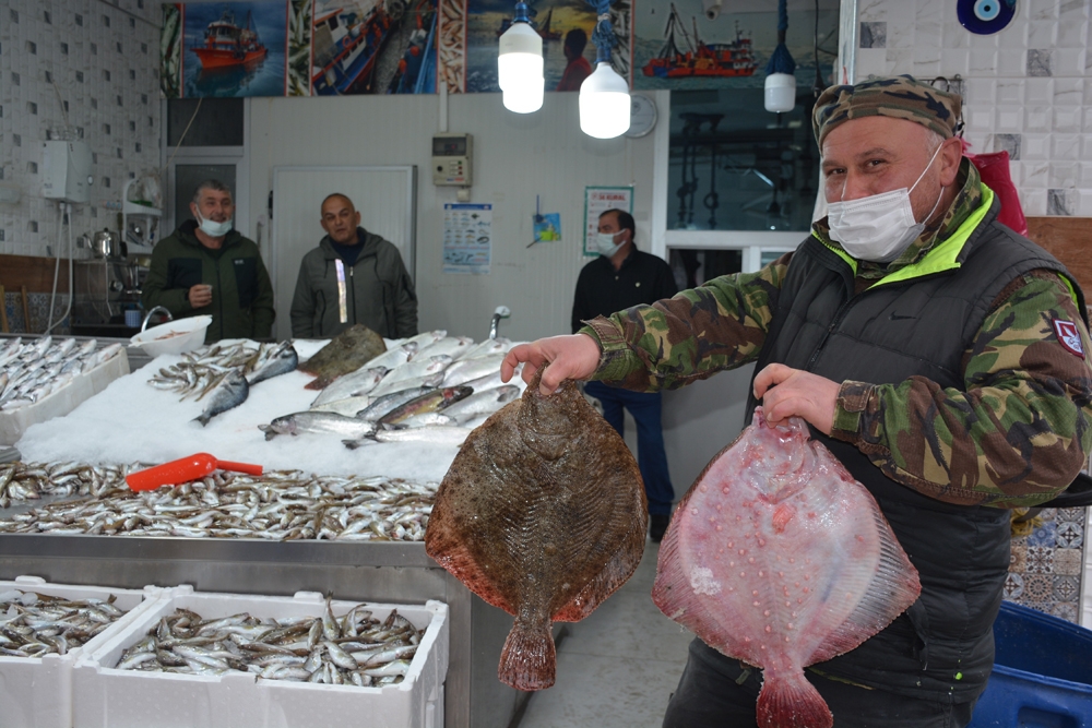 Kalkan balığı tadımlık oldu, fiyatı cep yakıyor