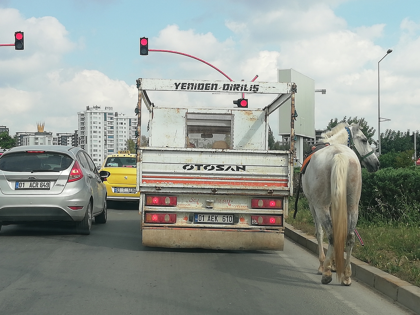Kamyonetin arkasına bağladıkları atı kilometrelerce koşturdular