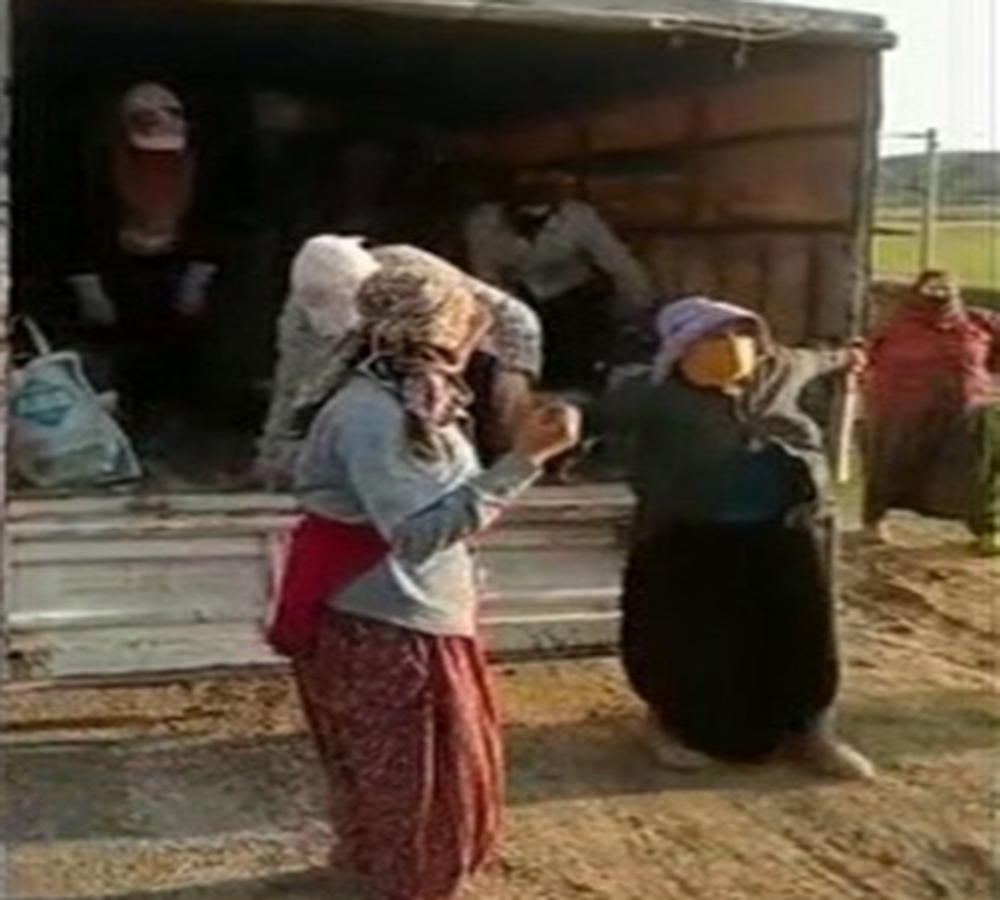 Kamyonette balık istifi yolculuk