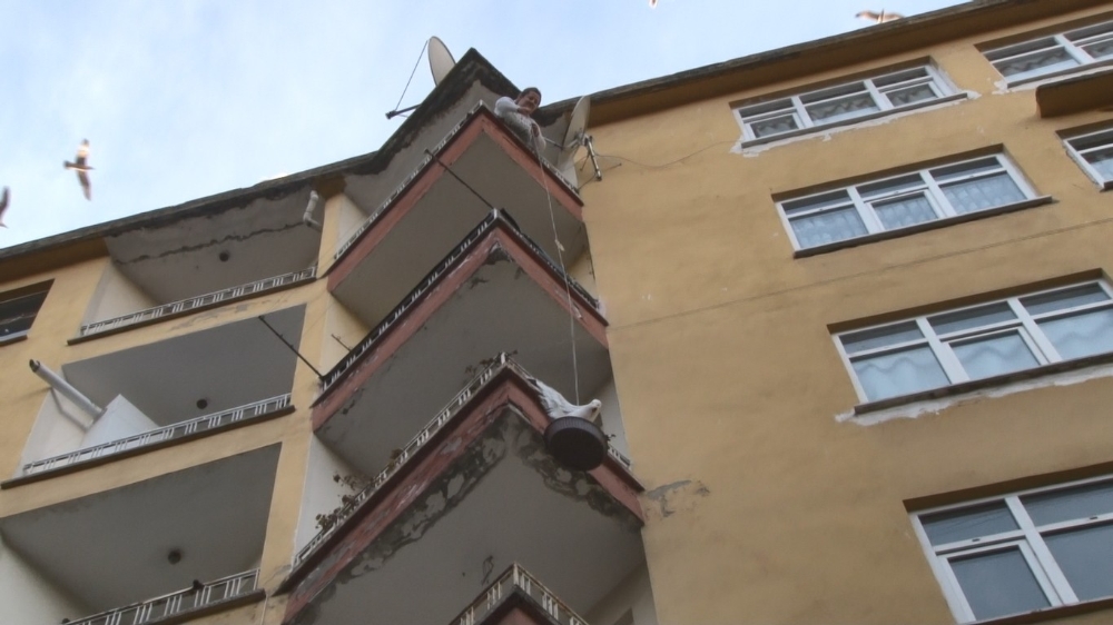 Kanadı saksı ile korkuluk arasına sıkışan martıyı böyle kurtardı