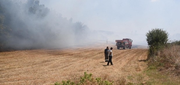Kanepe hurdasını almak içi ormanı yakıyordu, 155 bin TL para cezasına çarptılırdı
