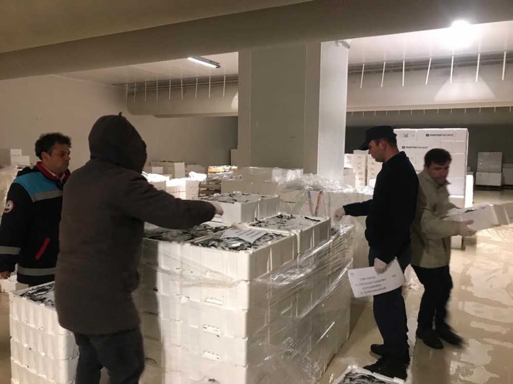 Kanuna Aykırı Avlanmış 20 Ton Su Ürününe El Konuldu