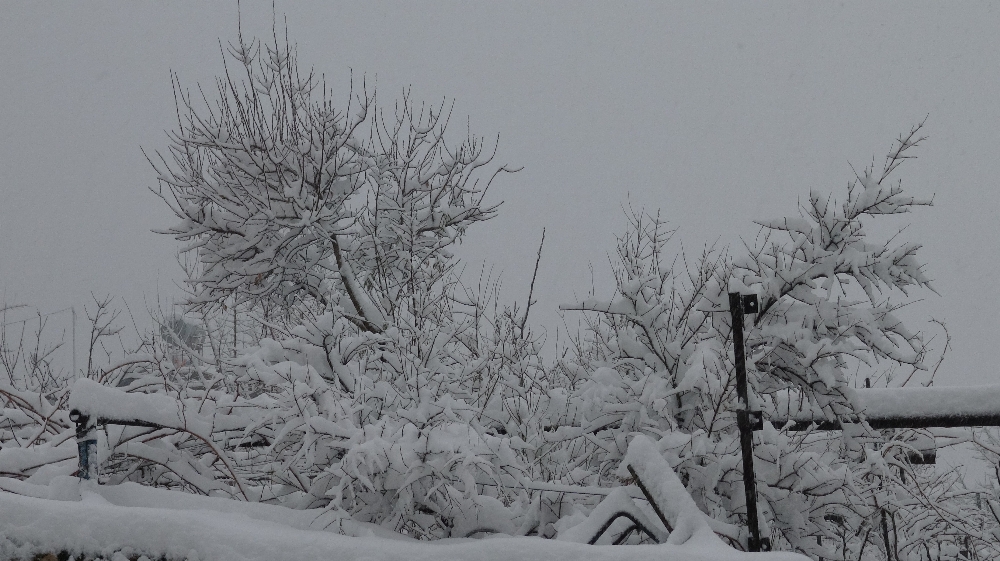 Kar, Gercüş’ü beyaza bürüdü