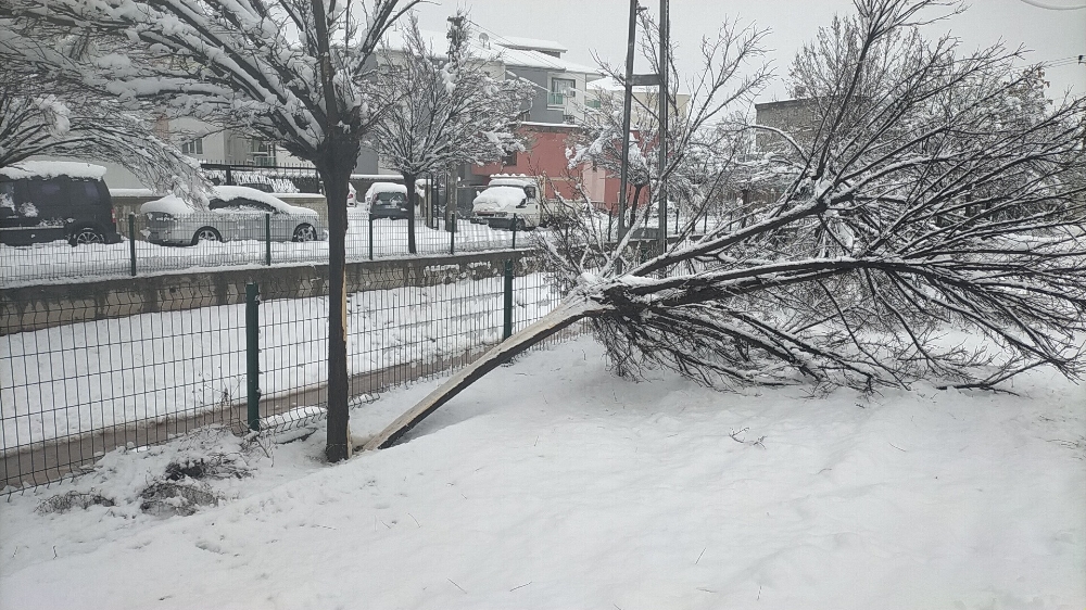 Kar yağışı elektrik direklerini devirdi