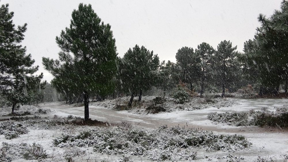 Kar Yağışıyla Beyaza Bürünen Aydos Ormanı Havadan Görüntülendi