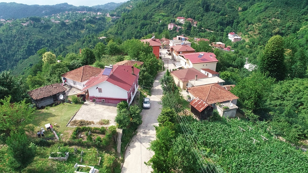 Karadeniz fıkrası gibi mahalle: Yer gök ‘sarı’