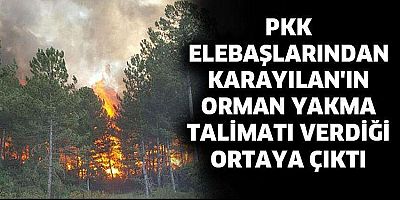 Karayılan haininden PKK'lılara ormanları yakın talimatı   