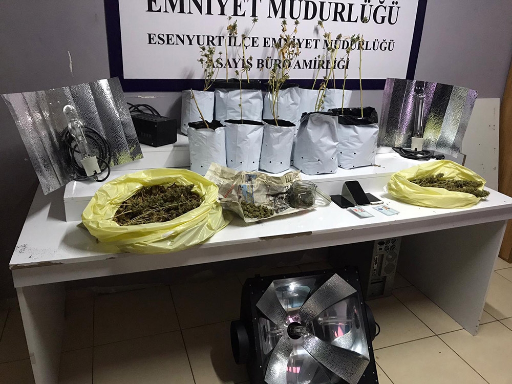 Karı koca lüks villayı uyuşturucu tarlasına çevirmiş