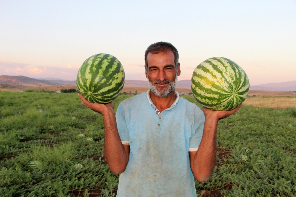 Karpuz tarlasında doğdu, karpuz yetiştiricisi oldu